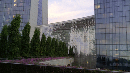 output_bfs07n.gif