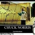 Chuck Norris..