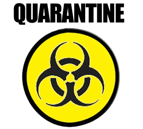 quarantine2.jpg