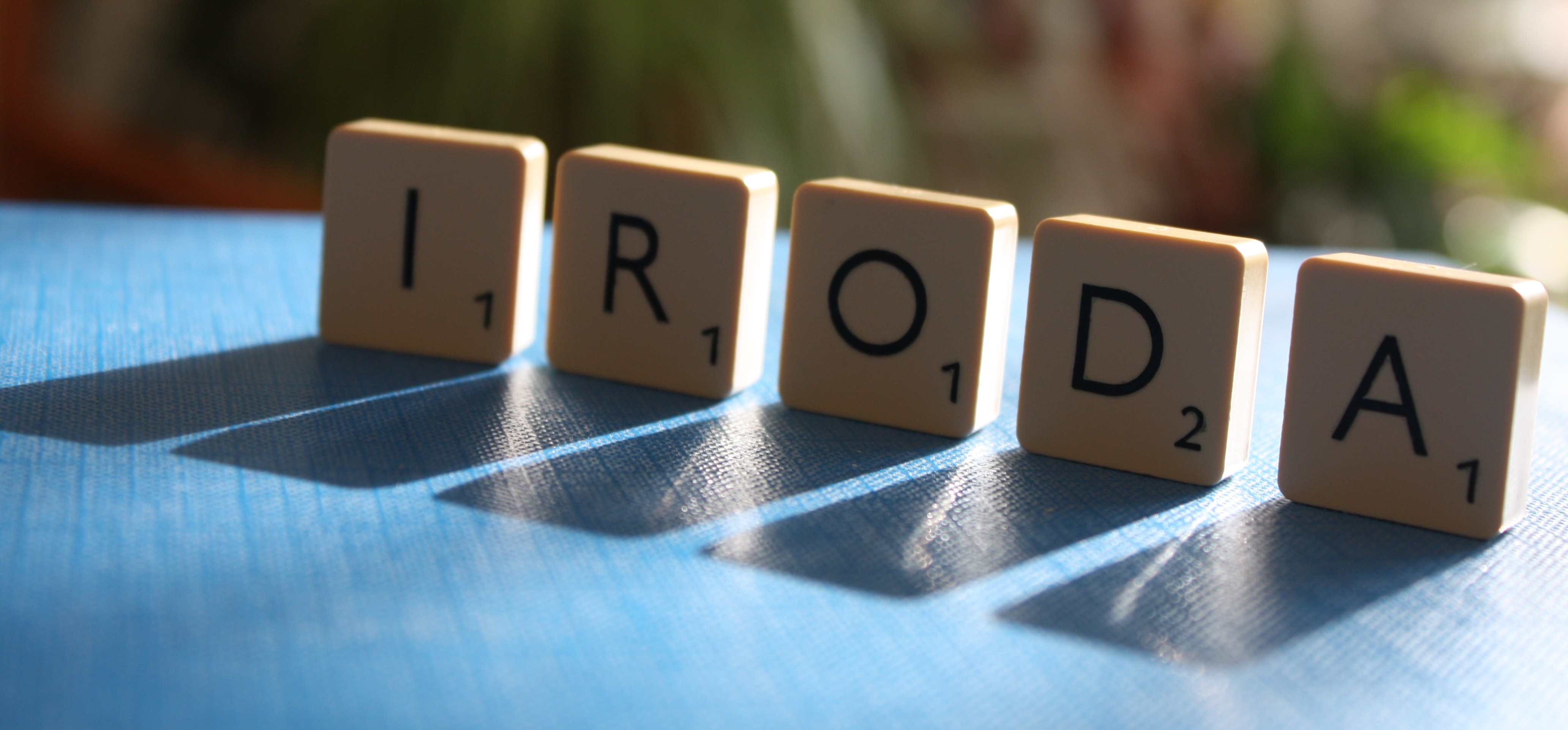 5_iroda-3.JPG