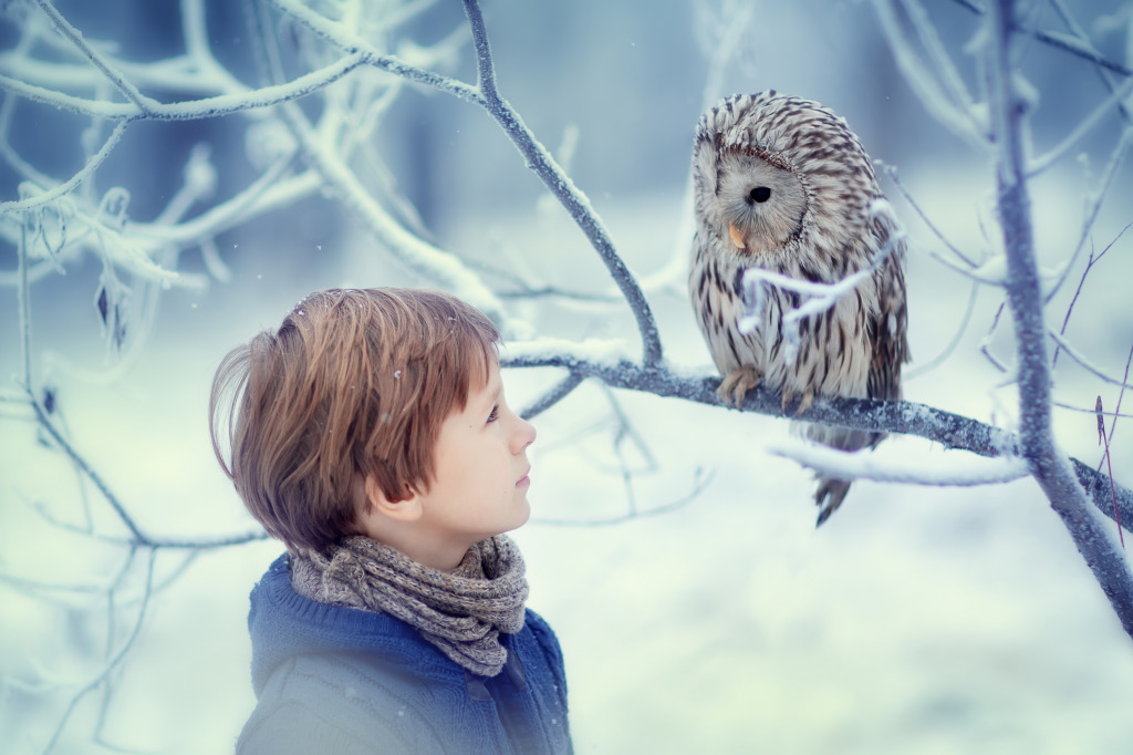 a-boy-and-an-owl.jpeg
