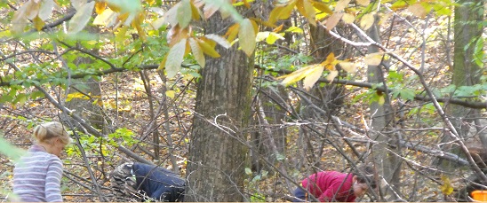 2013_okt6.jpg