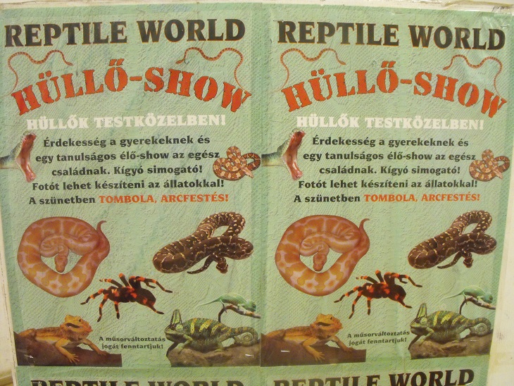 hullo2014_01.jpg
