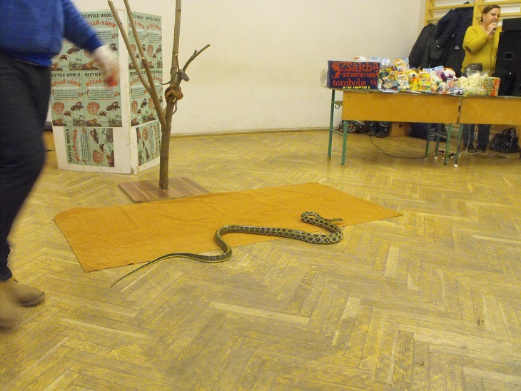 hullo2014_02.jpg