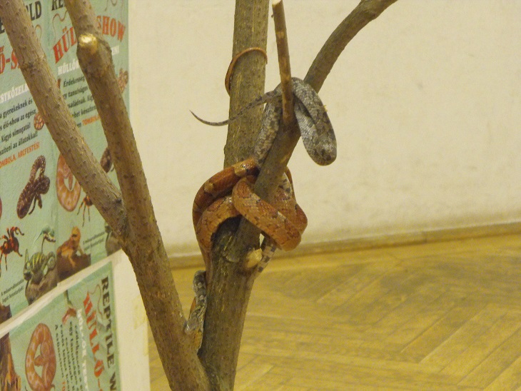 hullo2014_03.jpg