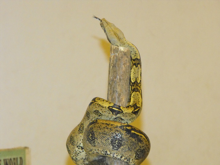 hullo2014_10.jpg