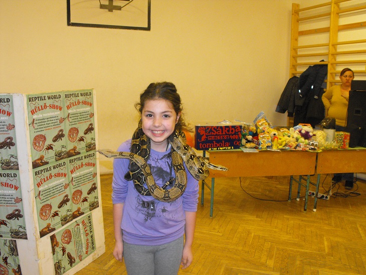 hullo2014_19.jpg