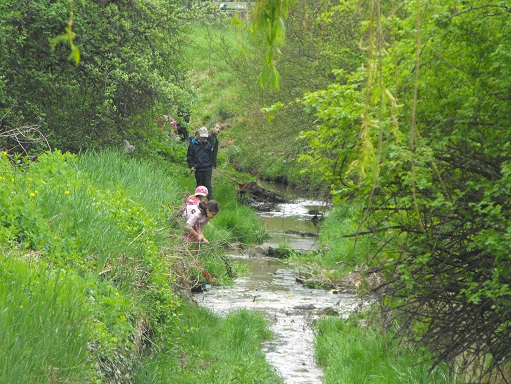 kliningofthepatak_05.JPG