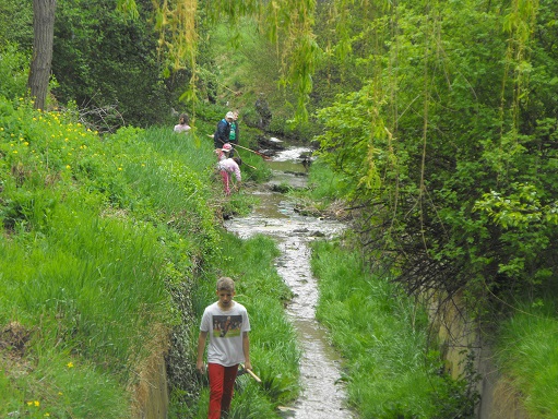 kliningofthepatak_06.JPG