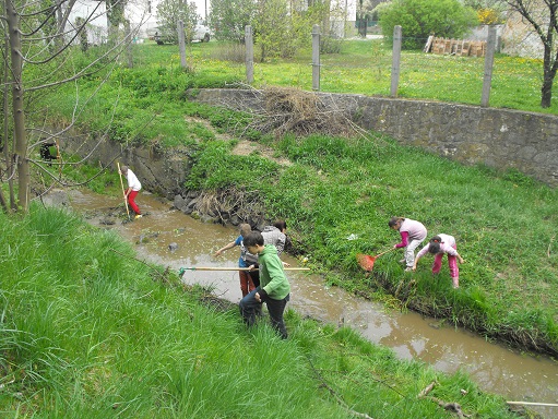 kliningofthepatak_08.JPG