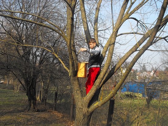 tavasz_2014_01.jpg