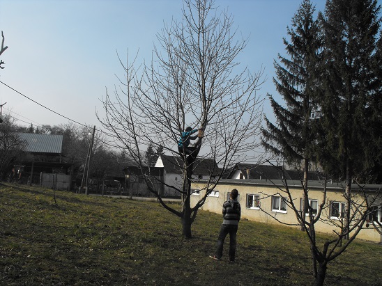 tavasz_2014_02.jpg