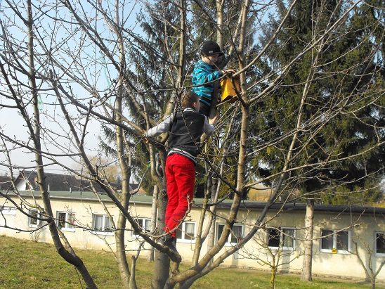 tavasz_2014_04.jpg