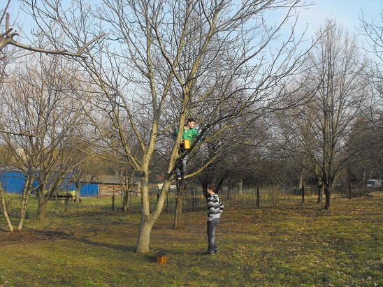 tavasz_2014_05.jpg