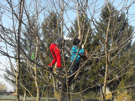 tavasz_2014_06.jpg