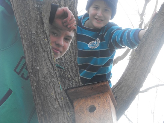 tavasz_2014_07.jpg