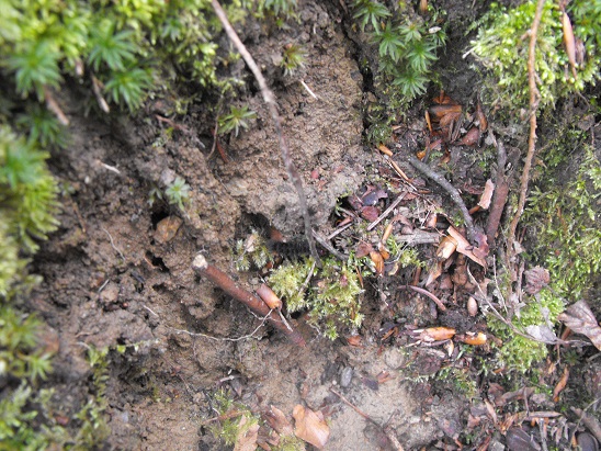 tavasz_2014_09.jpg