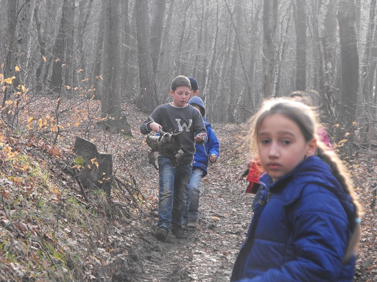 tavasz_2014_11.jpg