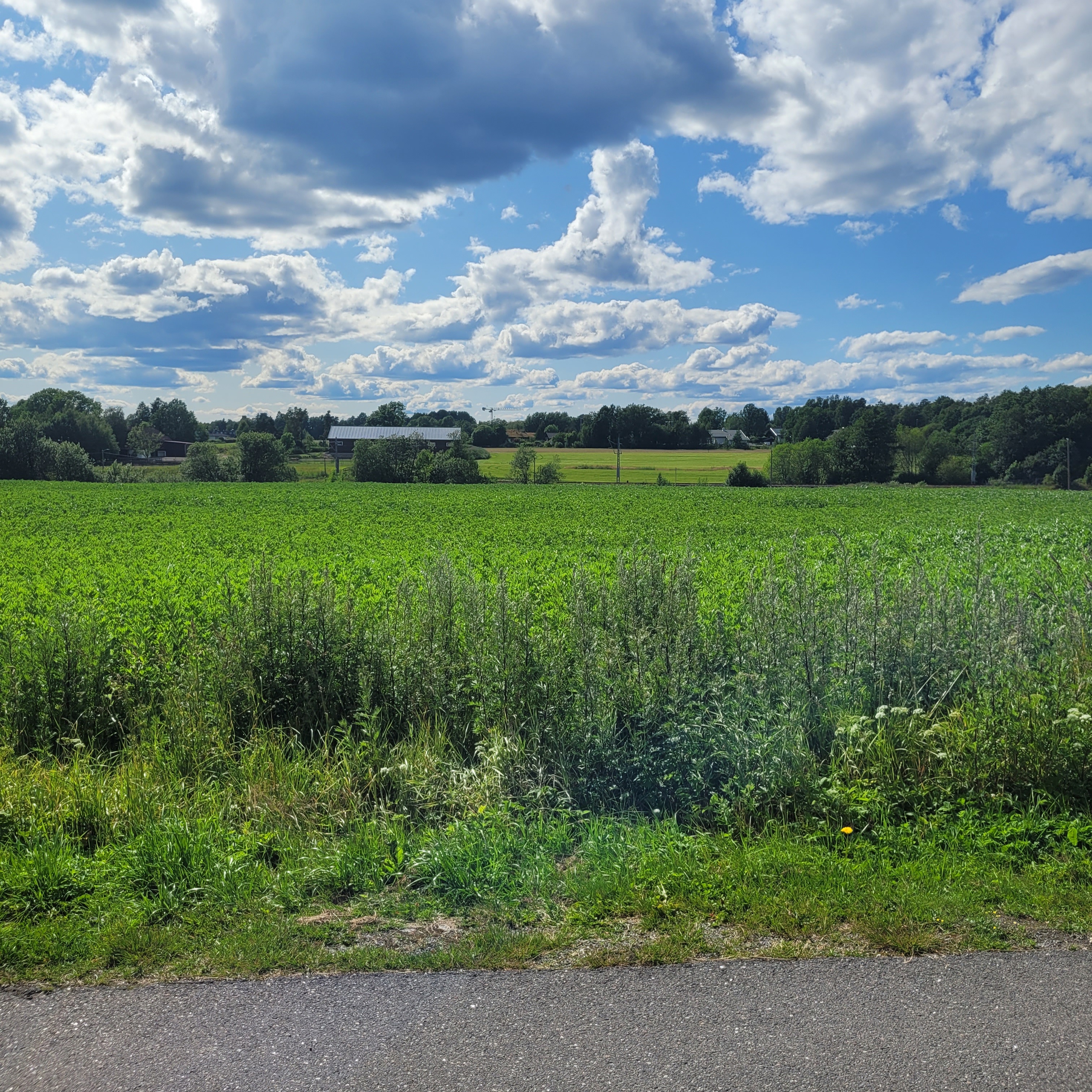 20250703_163427.jpg