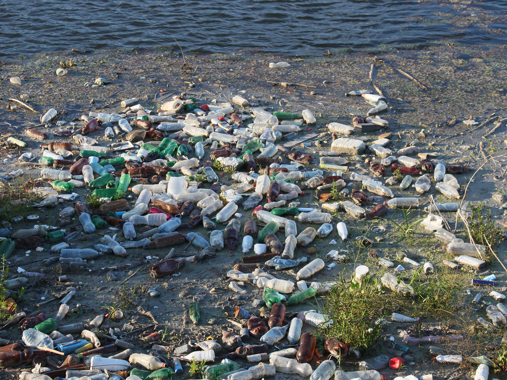 plastic_pollution.jpg