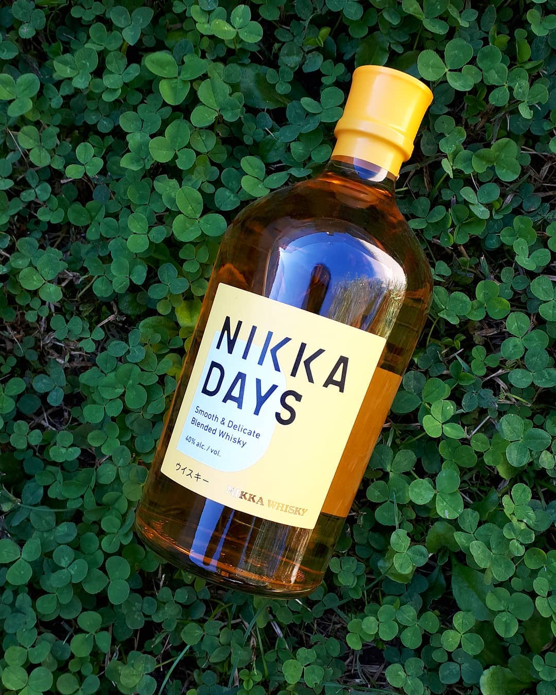 nikka_days2.jpg