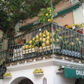 Campania és a citromok