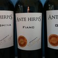 Fiano, Falanghina, Greco avagy újra a borokhoz