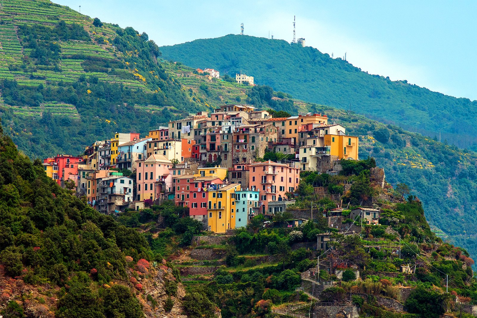 corniglia.jpg