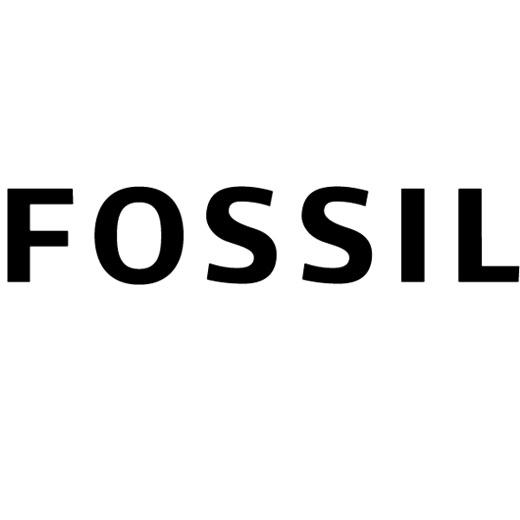 fossil_to_size.jpg
