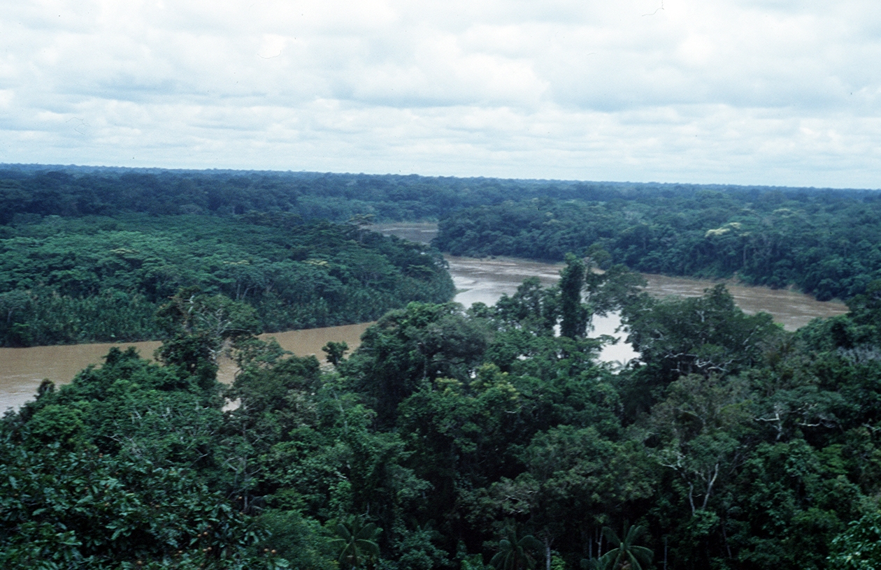 039 TamboPata0.jpg