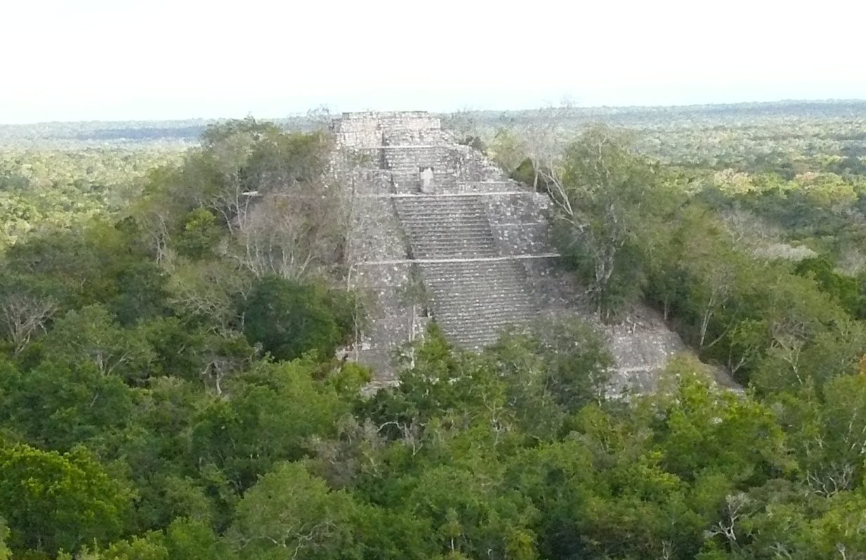 Calakmul I. Piramis Látkép.JPG