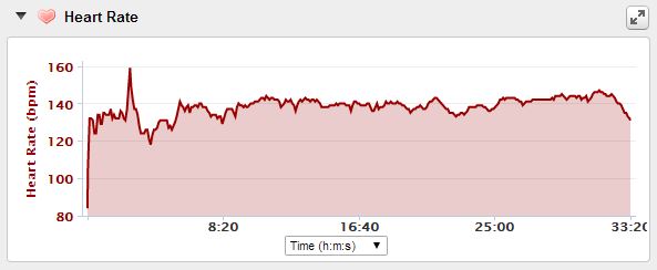 GarminHRM.JPG