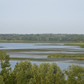 A folyó áll, a tó folyik – csatornák a Tisza-tónál