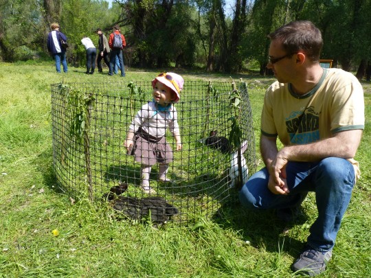 Szabics kikötő nyuszi simogatás.JPG