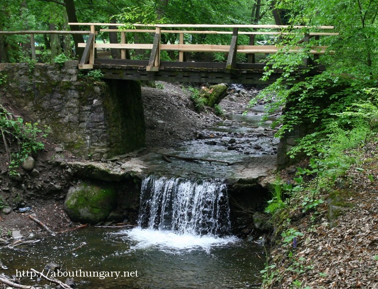 visegrad-arboretum-bertenyi-miklos-fuveszkert.jpg