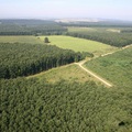 Tolnai erdők ölelésében: Gyulaj