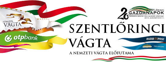 szentlorinci_vagta-2013.jpg