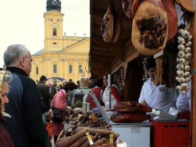 mangalica.jpg