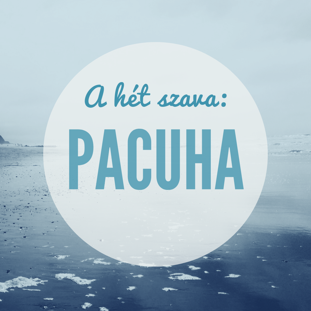 pacuha.png