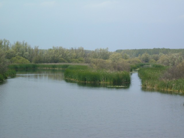 hany istok.jpg
