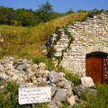 Harmóniában a természettel, pincék a szőlőhegyen