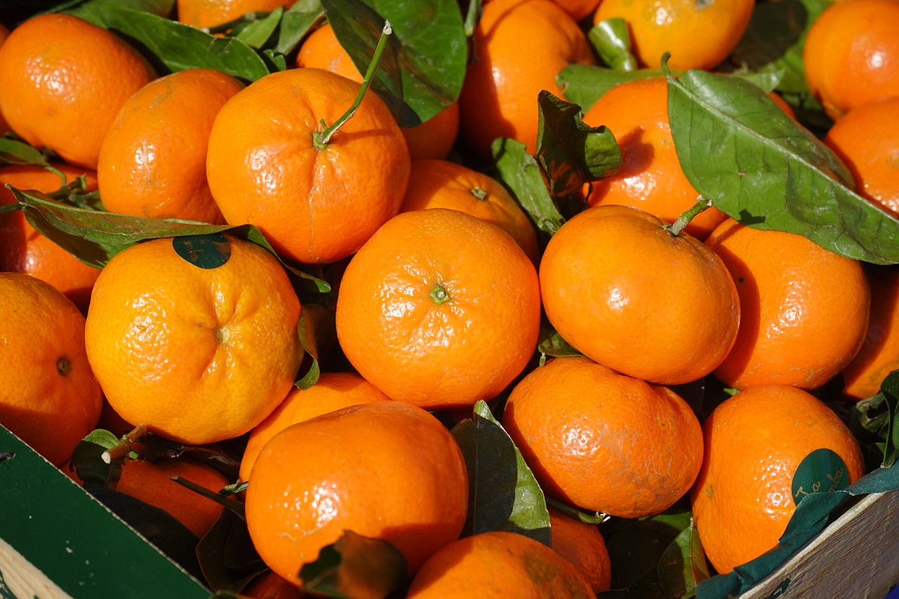 clementines-318210_1280.jpg