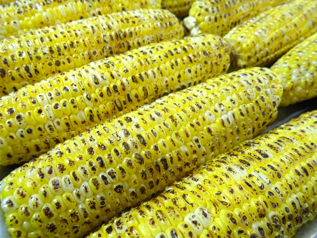 corn-142206_1280.jpg