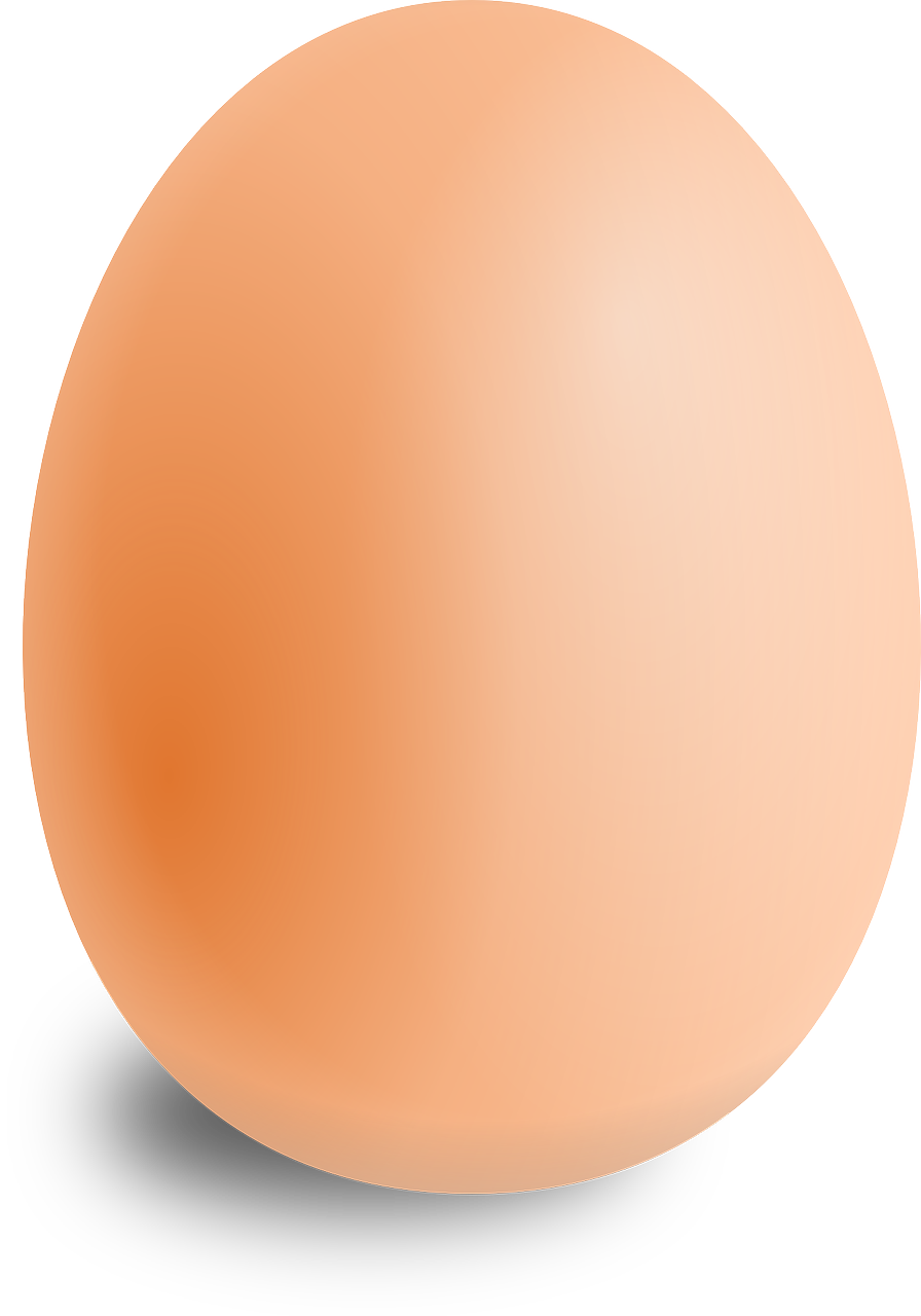 egg-157224_1280.png