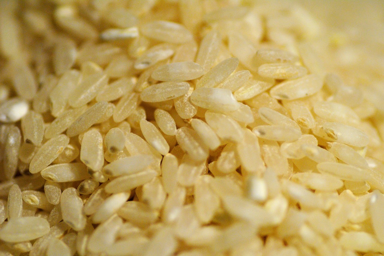 rice-316532_1280.jpg