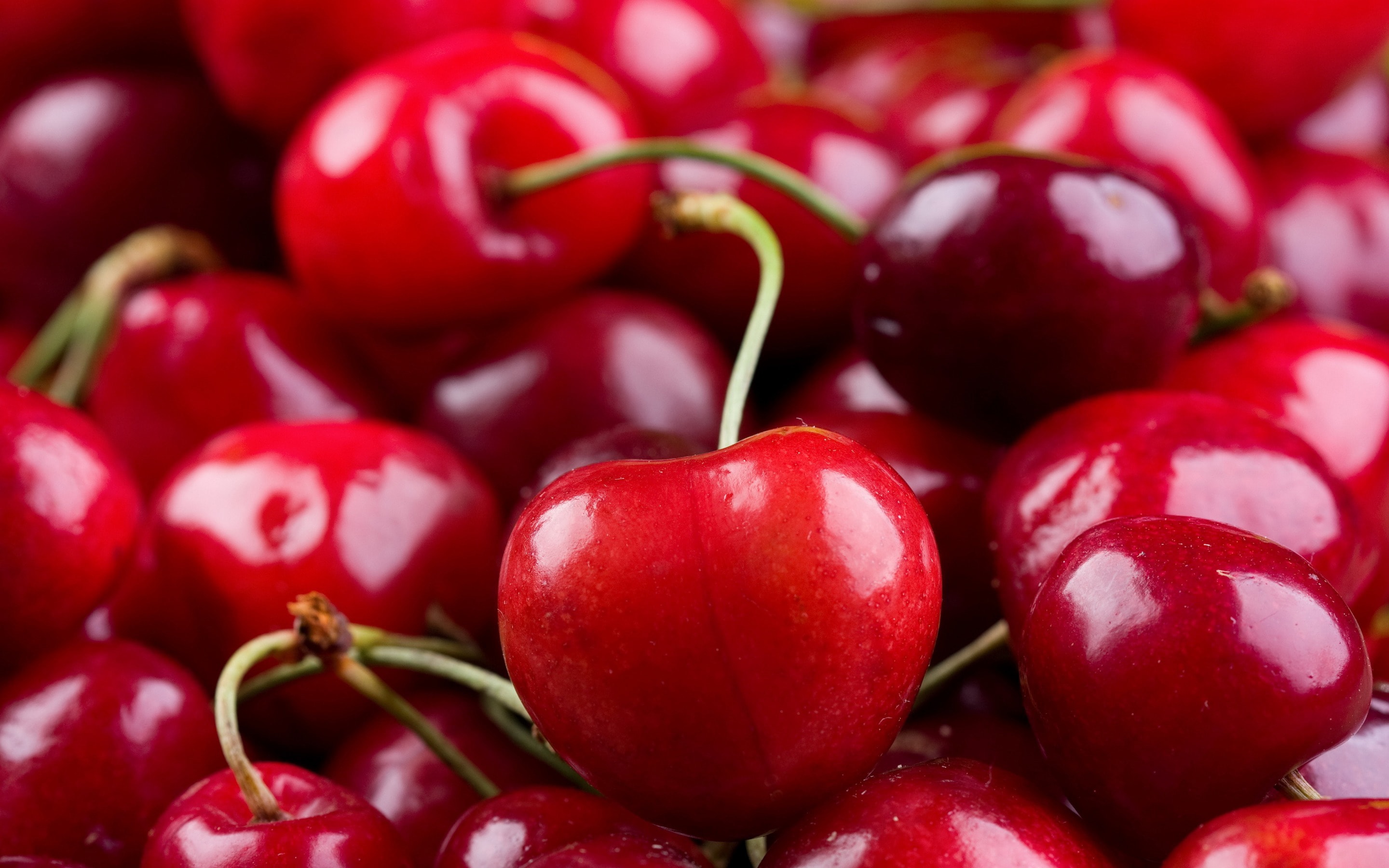 15_cherry.jpg