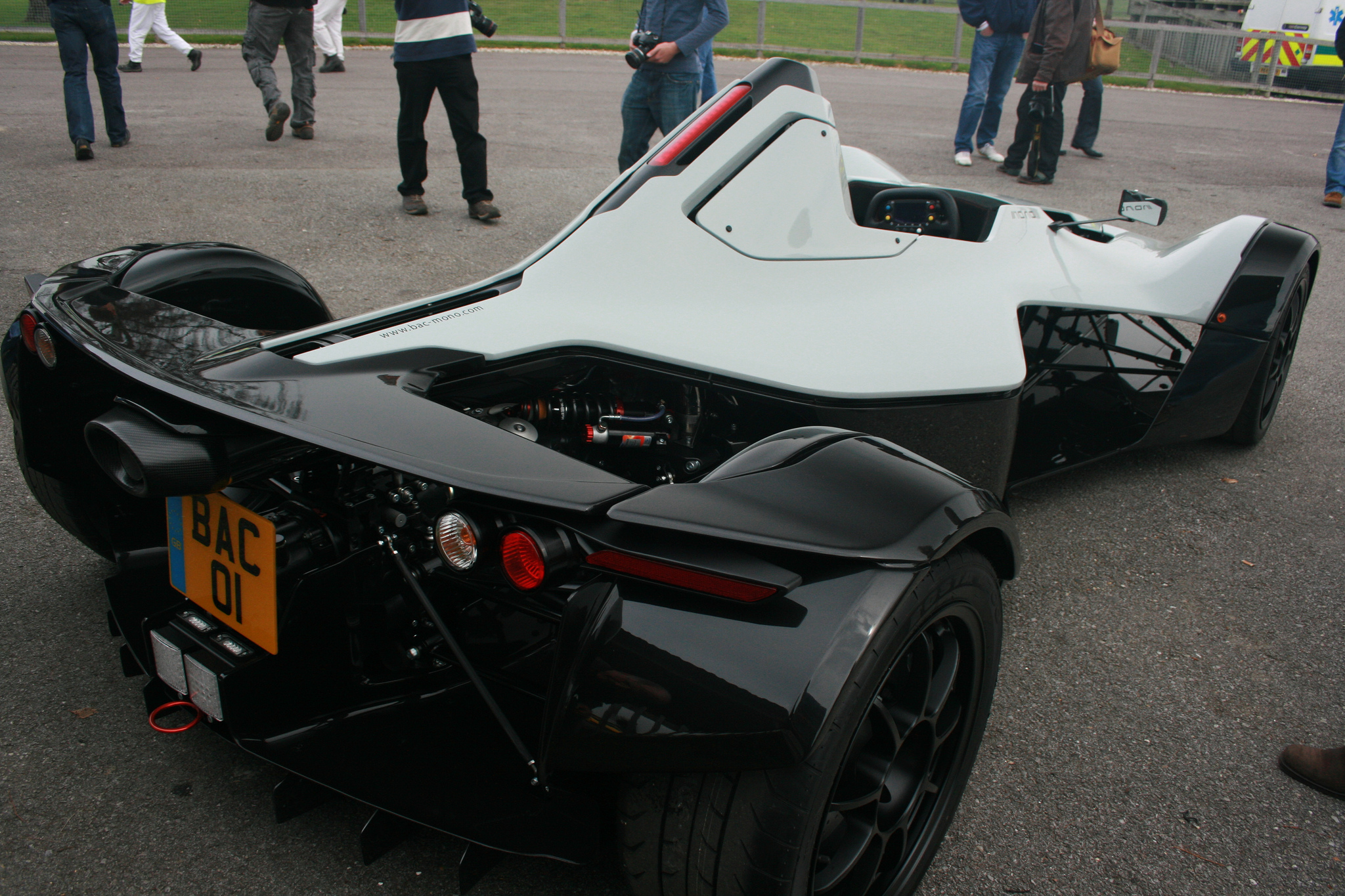 bac_mono5.jpg