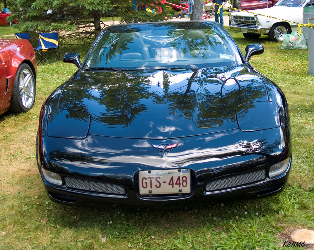 stingray_1999.jpg