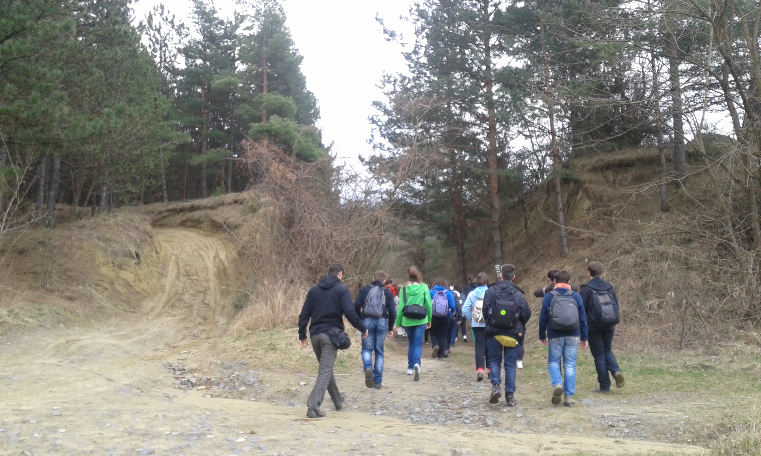 20150328_145605.jpg