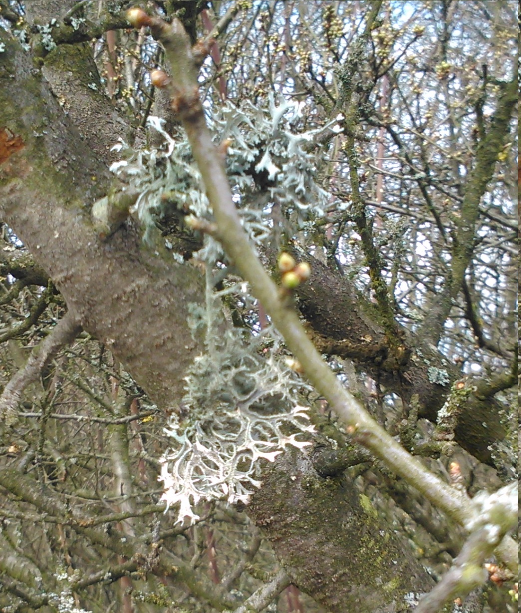 dsc_0169.jpg